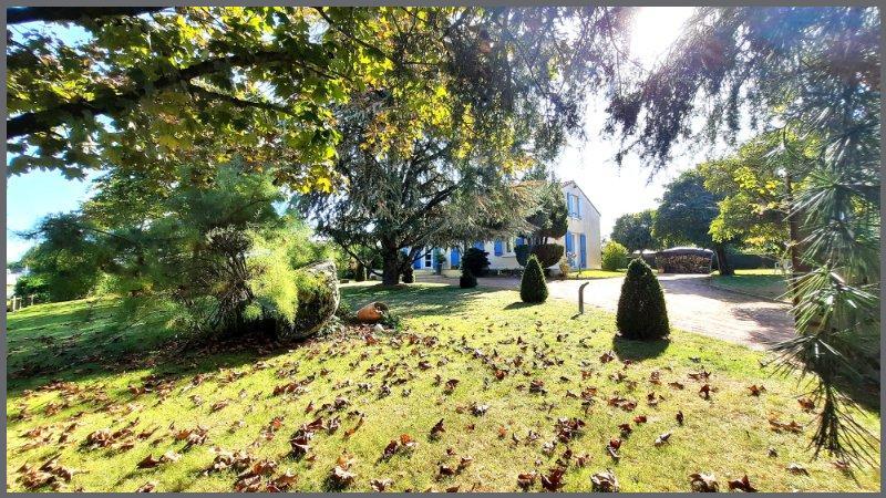 Miniature photo - 13 / 19