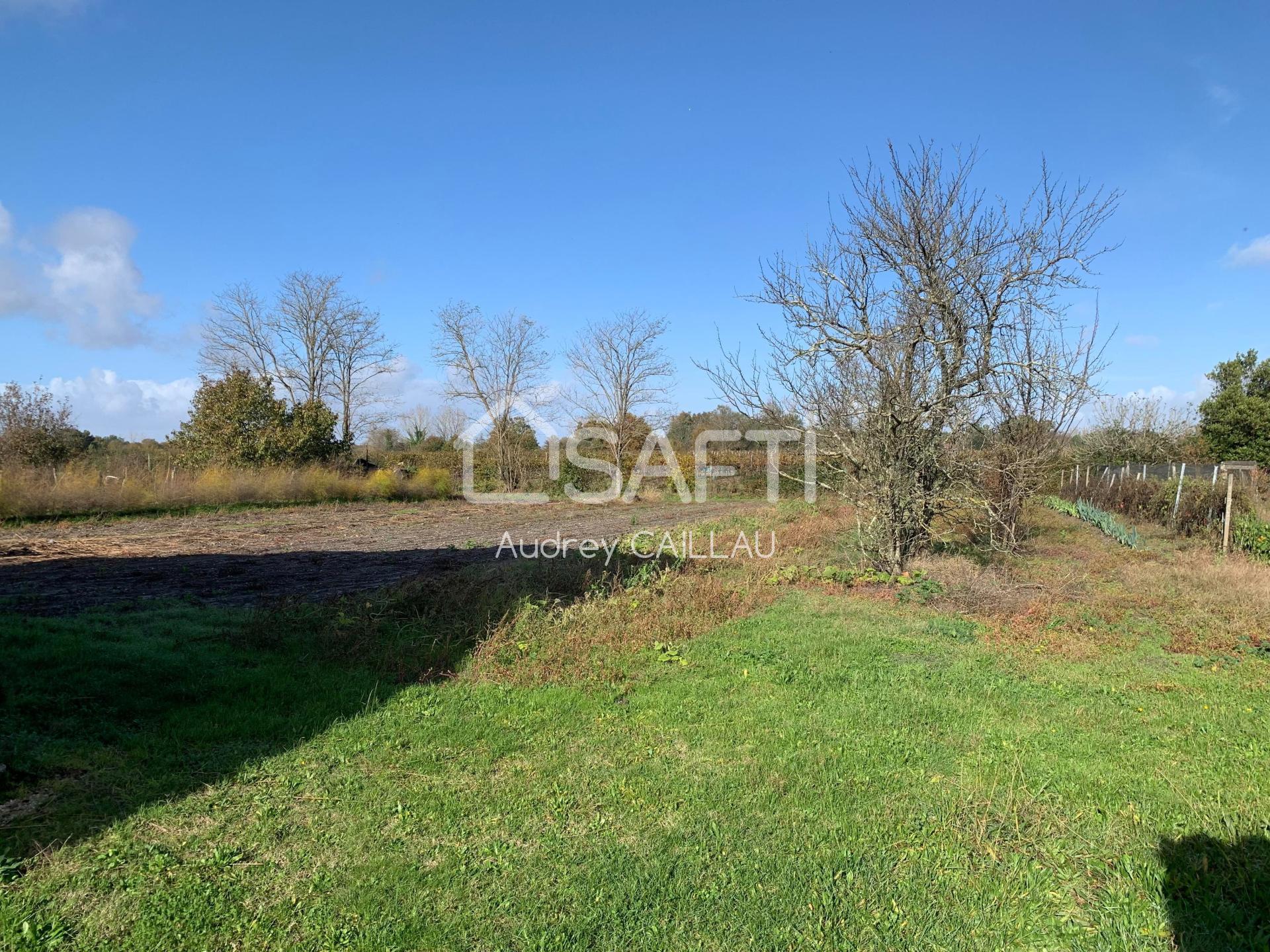 Vente de maison 3 pièces à Saint-Ciers-Sur-Gironde 33820 : 80m², prix