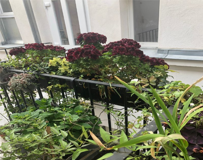 Maison a louer paris-11e-arrondissement - 2 pièce(s) - 30 m2 - Surfyn